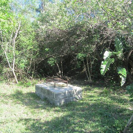 סודוואנה ביי Toad Tree Cabins מראה חיצוני תמונה