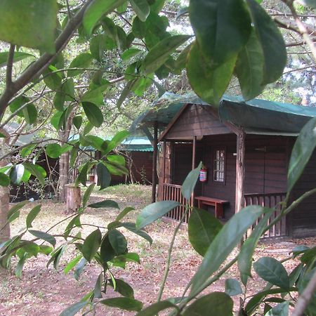 סודוואנה ביי Toad Tree Cabins מראה חיצוני תמונה