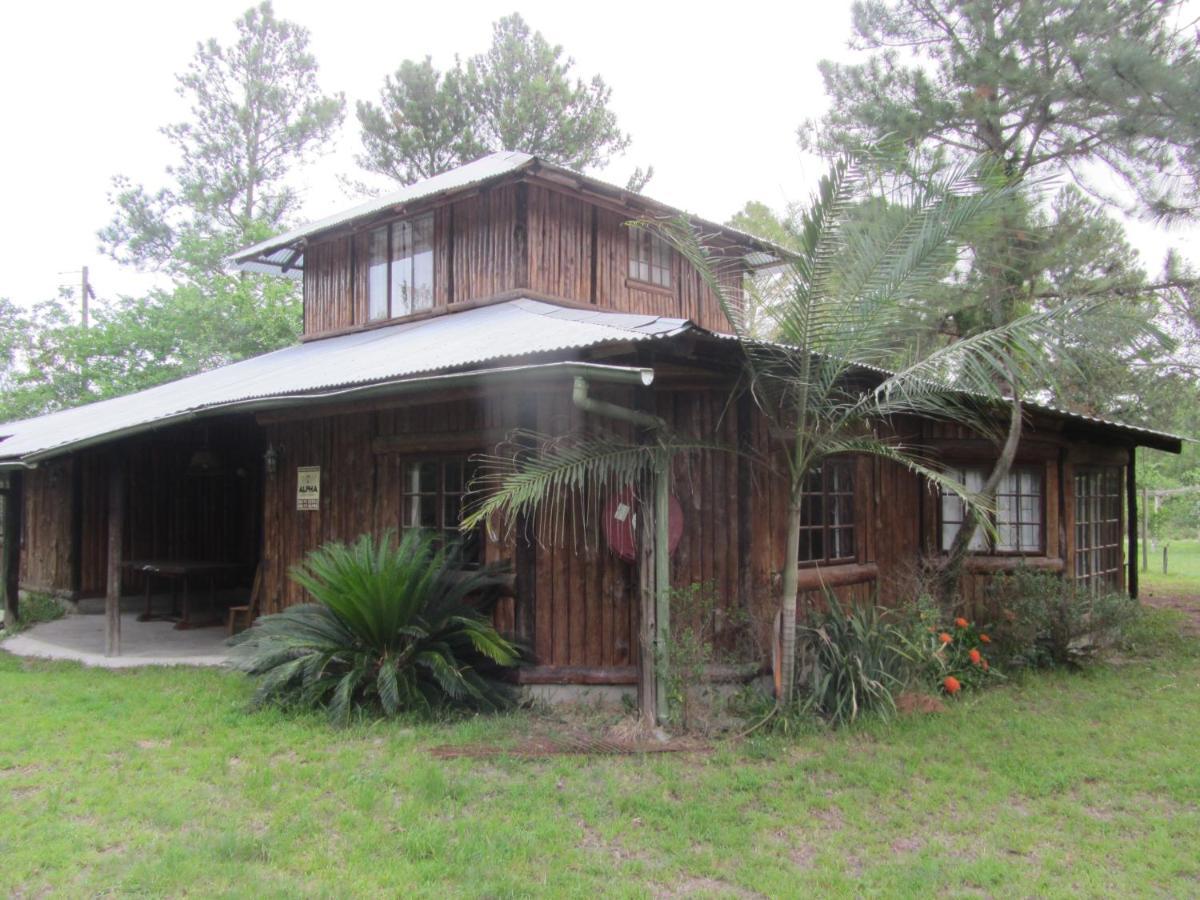 סודוואנה ביי Toad Tree Cabins מראה חיצוני תמונה