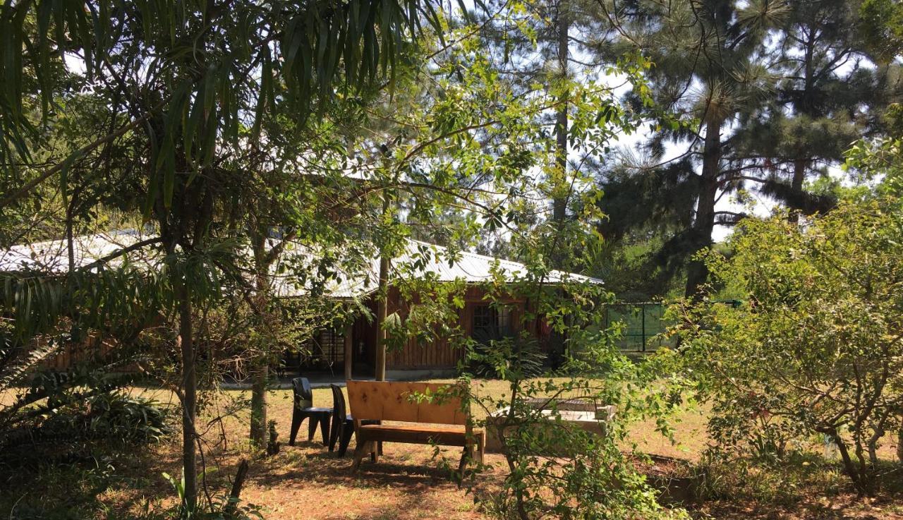 סודוואנה ביי Toad Tree Cabins מראה חיצוני תמונה