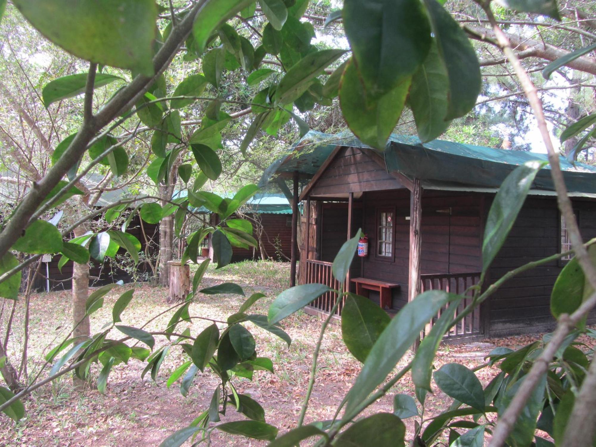 סודוואנה ביי Toad Tree Cabins מראה חיצוני תמונה