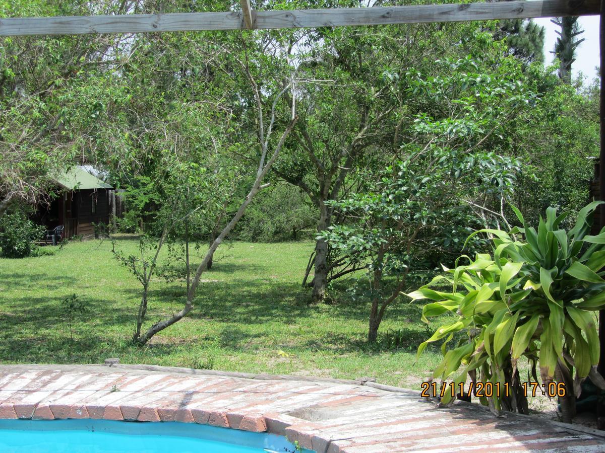 סודוואנה ביי Toad Tree Cabins מראה חיצוני תמונה
