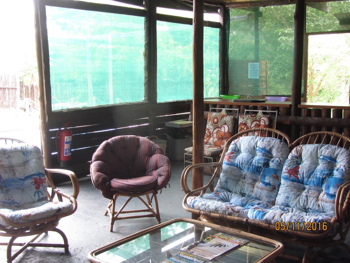 סודוואנה ביי Toad Tree Cabins מראה חיצוני תמונה