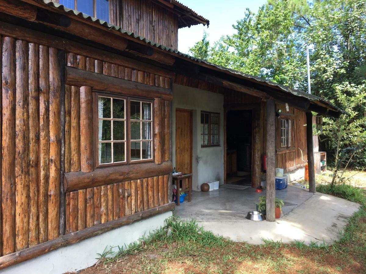 סודוואנה ביי Toad Tree Cabins מראה חיצוני תמונה